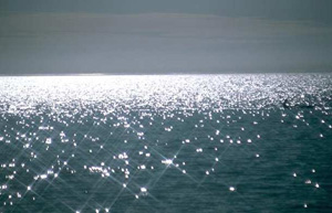 peaceful water